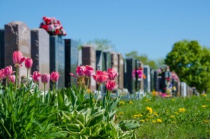 Flowers Growing Around Gravestones