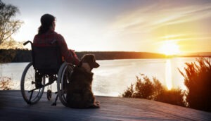 Frankfort Spinal Injury Victim In Wheelchair